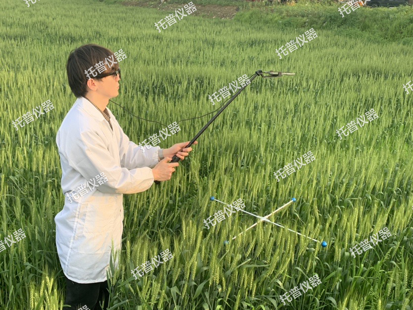 小麥畝穗數測量系統—快速，簡單獲得小麥產量信息的黑科技