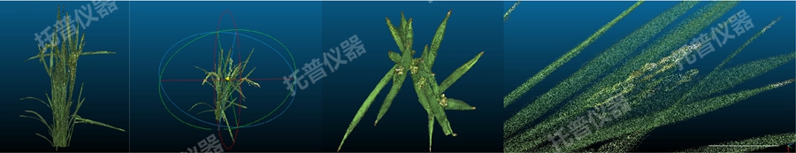盆栽植物三維數字表型采集分析系統