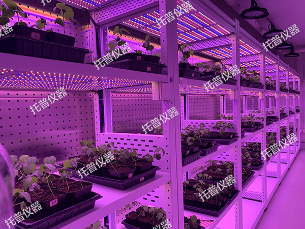 托普植物工廠——解鎖科研與生產新可能！